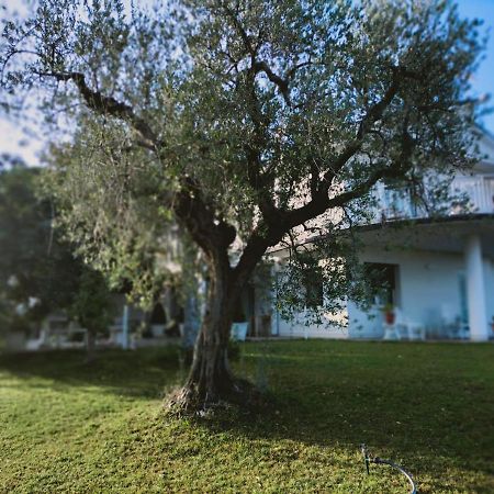 Villa Margherita San Giovanni Teatino Εξωτερικό φωτογραφία