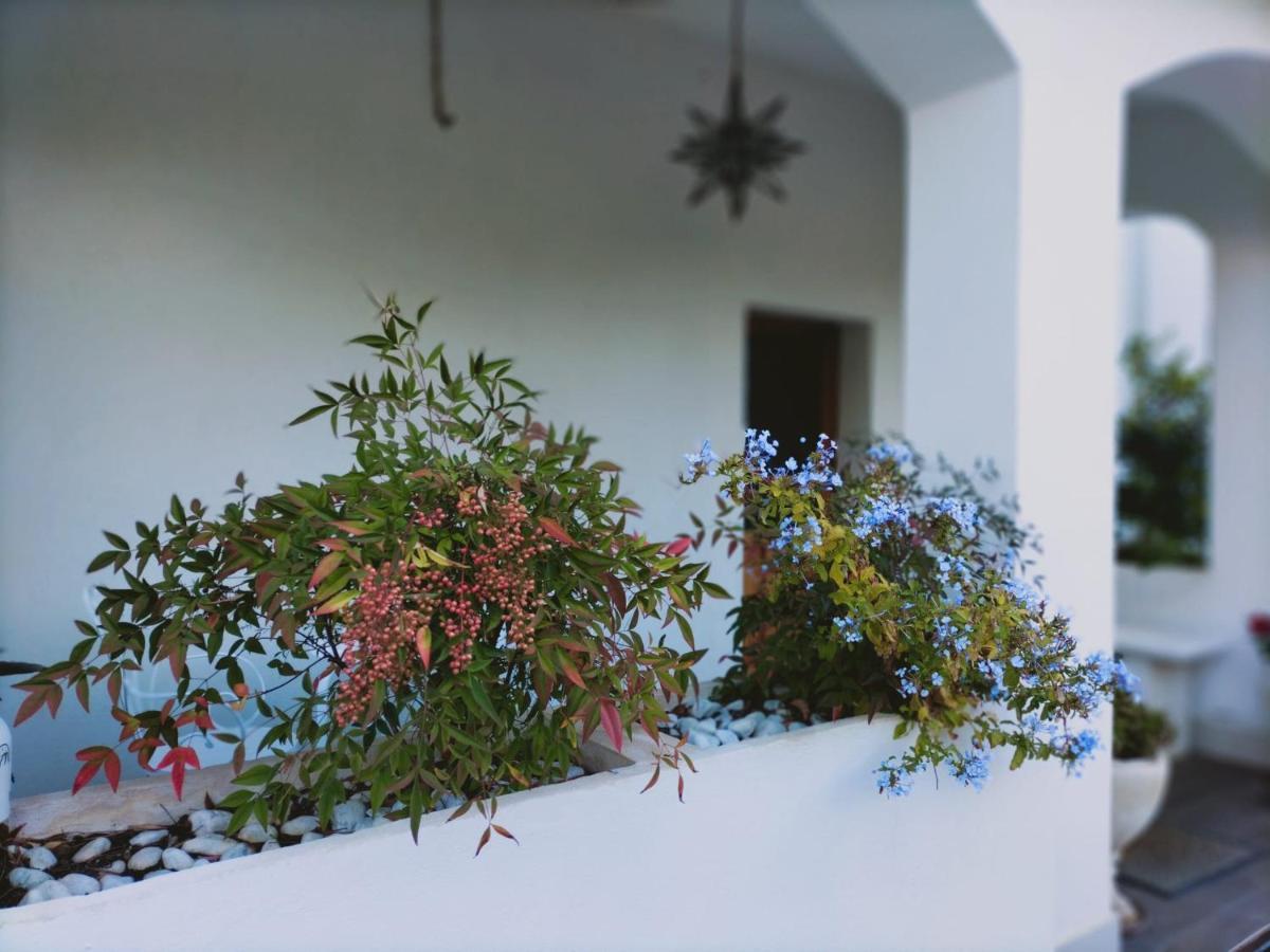 Villa Margherita San Giovanni Teatino Εξωτερικό φωτογραφία