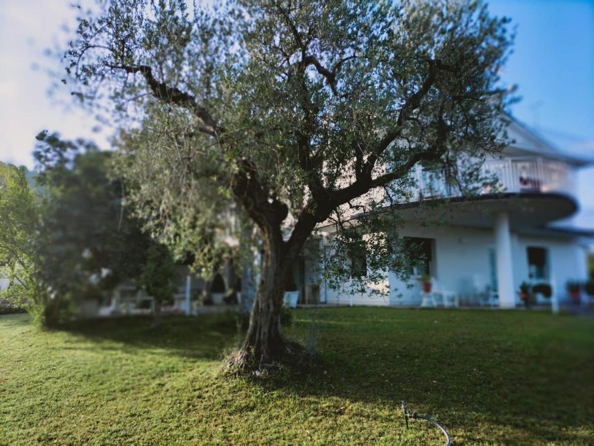 Villa Margherita San Giovanni Teatino Εξωτερικό φωτογραφία